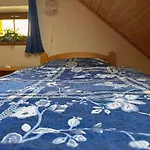 U Skodu Apartament