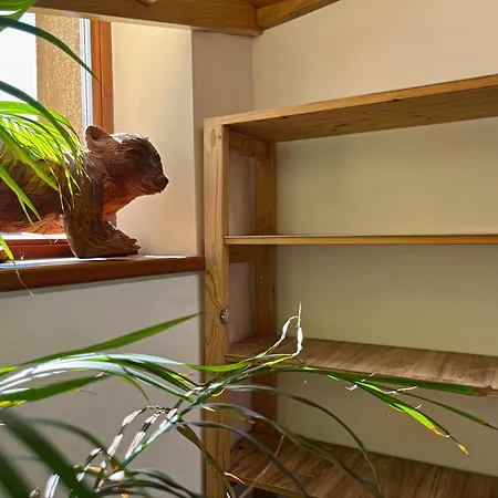 U Skodu * Rokytnice nad Jizerou