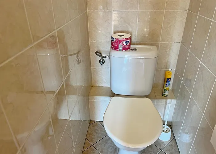 U Skodu Lägenhet